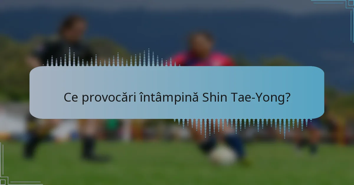 Ce provocări întâmpină Shin Tae-Yong?